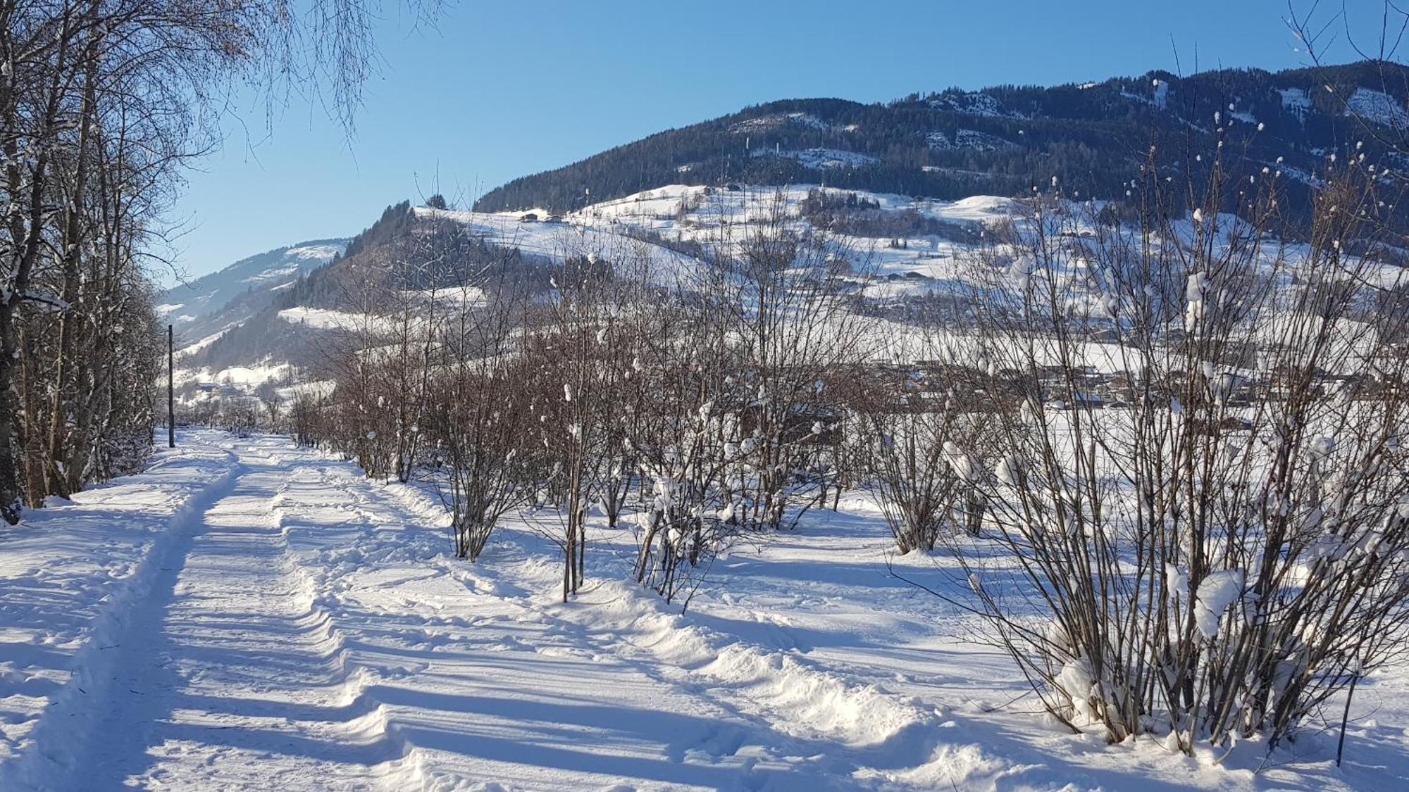 Chalet Am Park بيسندورف الغرفة الصورة